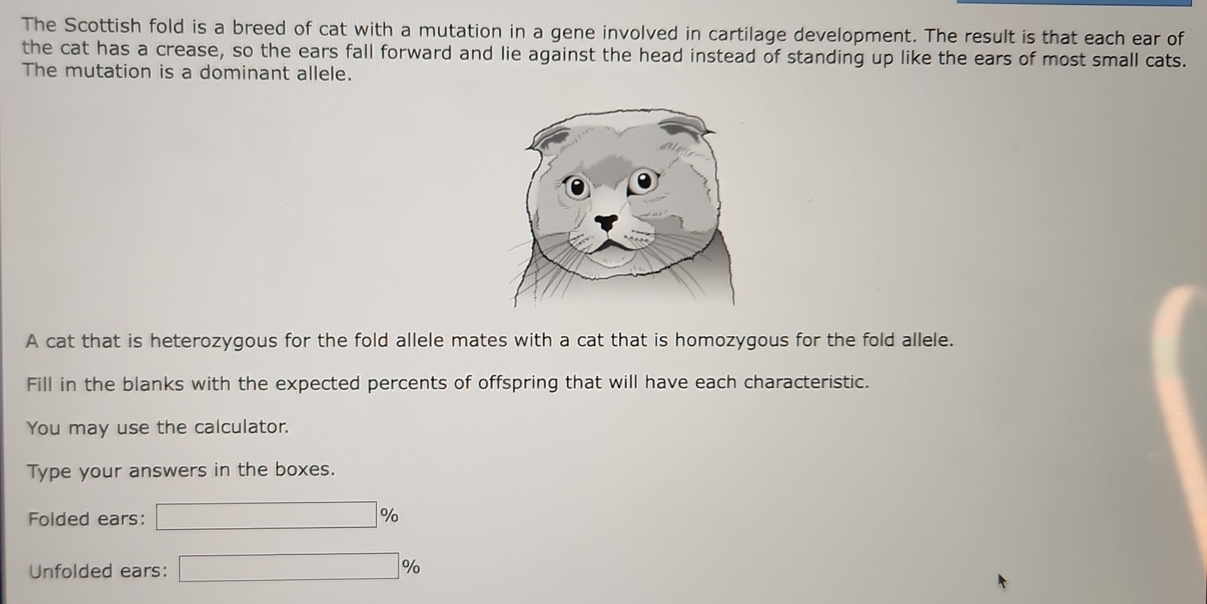 Solved: The Scottish fold is a breed of cat with a mutation in a gene ...