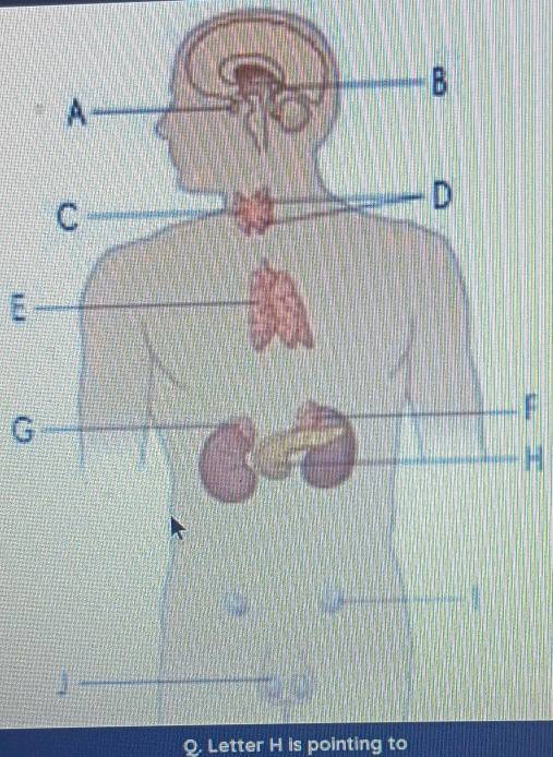 E
G
F
H
Q. Letter H is pointing to