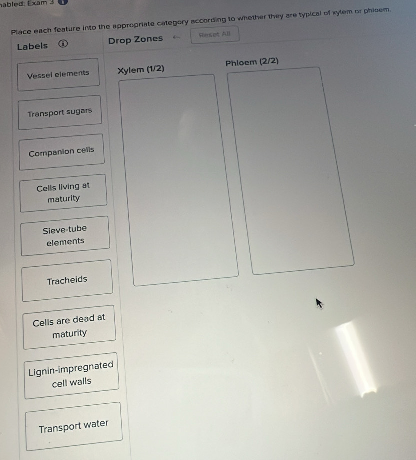 abled: Exam 3 
Place each feature into the appropriate category according to whether they are typical of xylem or phloem. 
Labels ( Drop Zones Reset All 
Vessel elements Xylem (1/2) Phloem (2/2)
Transport sugars 
Companion cells 
Cells living at 
maturity 
Sieve-tube 
elements 
Tracheids 
Cells are dead at 
maturity 
Lignin-impregnated 
cell walls 
Transport water