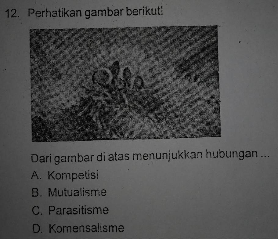 Perhatikan gambar berikut!
Dari gambar di atas menunjukkan hubungan ....
A. Kompetisi
B. Mutualisme
C. Parasitisme
D. Komensalisme