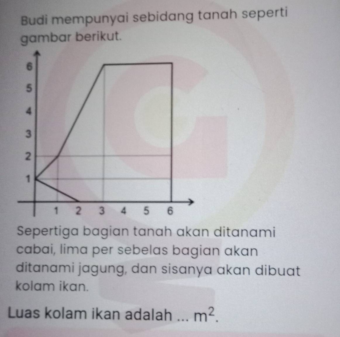 Budi mempunyai sebidang tanah seperti 
gambar berikut.
6
5
4
3
2
1
1 2 3 4 5 6
Sepertiga bagian tanah akan ditanami 
cabai, lima per sebelas bagian akan 
ditanami jagung, dan sisanya akan dibuat 
kolam ikan. 
Luas kolam ikan adalah _ m^2.