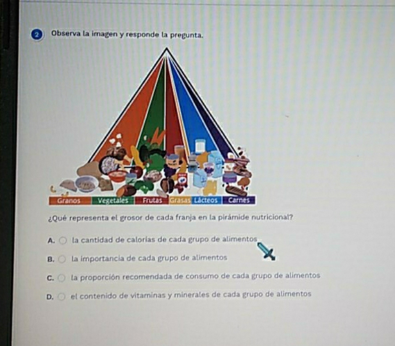 Observa la imagen y responde la pregunta.
¿Qué representa el grosor de cada franja en la pirámide nutricional?
A. la cantidad de calorías de cada grupo de alimentos
B. la importancia de cada grupo de alimentos
C. la proporción recomendada de consumo de cada grupo de alimentos
D. el contenido de vitaminas y minerales de cada grupo de alimentos