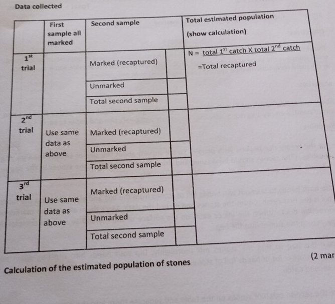 Data collected
Camar