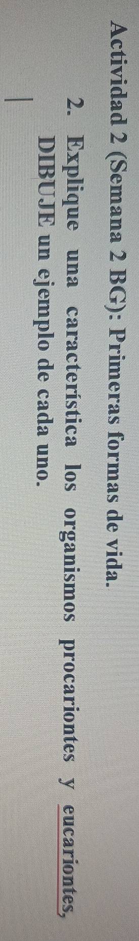 Actividad 2 (Semana 2 BG): Primeras formas de vida. 
2. Explique una característica los organismos procariontes y eucariontes, 
DIBUJE un ejemplo de cada uno.