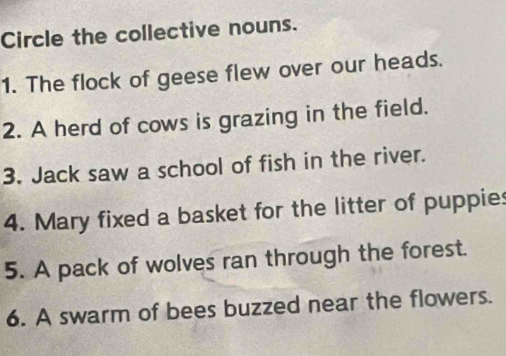 Circle the collective nouns. 
1. The flock of geese flew over our heads. 
2. A herd of cows is grazing in the field. 
3. Jack saw a school of fish in the river. 
4. Mary fixed a basket for the litter of puppies 
5. A pack of wolves ran through the forest. 
6. A swarm of bees buzzed near the flowers.