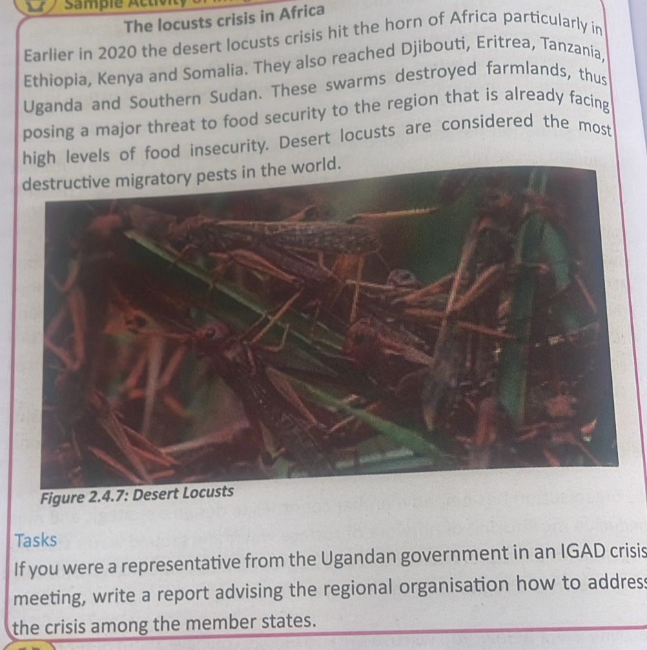 Sampie Activn 
The locusts crisis in Africa 
Earlier in 2020 the desert locusts crisis hit the horn of Africa particularly in 
Ethiopia, Kenya and Somalia. They also reached Djibouti, Eritrea, Tanzania, 
Uganda and Southern Sudan. These swarms destroyed farmlands, thus 
posing a major threat to food security to the region that is already facing 
high levels of food insecurity. Desert locusts are considered the most 
Figure 2.4.7: D 
Tasks 
If you were a representative from the Ugandan government in an IGAD crisis 
meeting, write a report advising the regional organisation how to address 
the crisis among the member states.