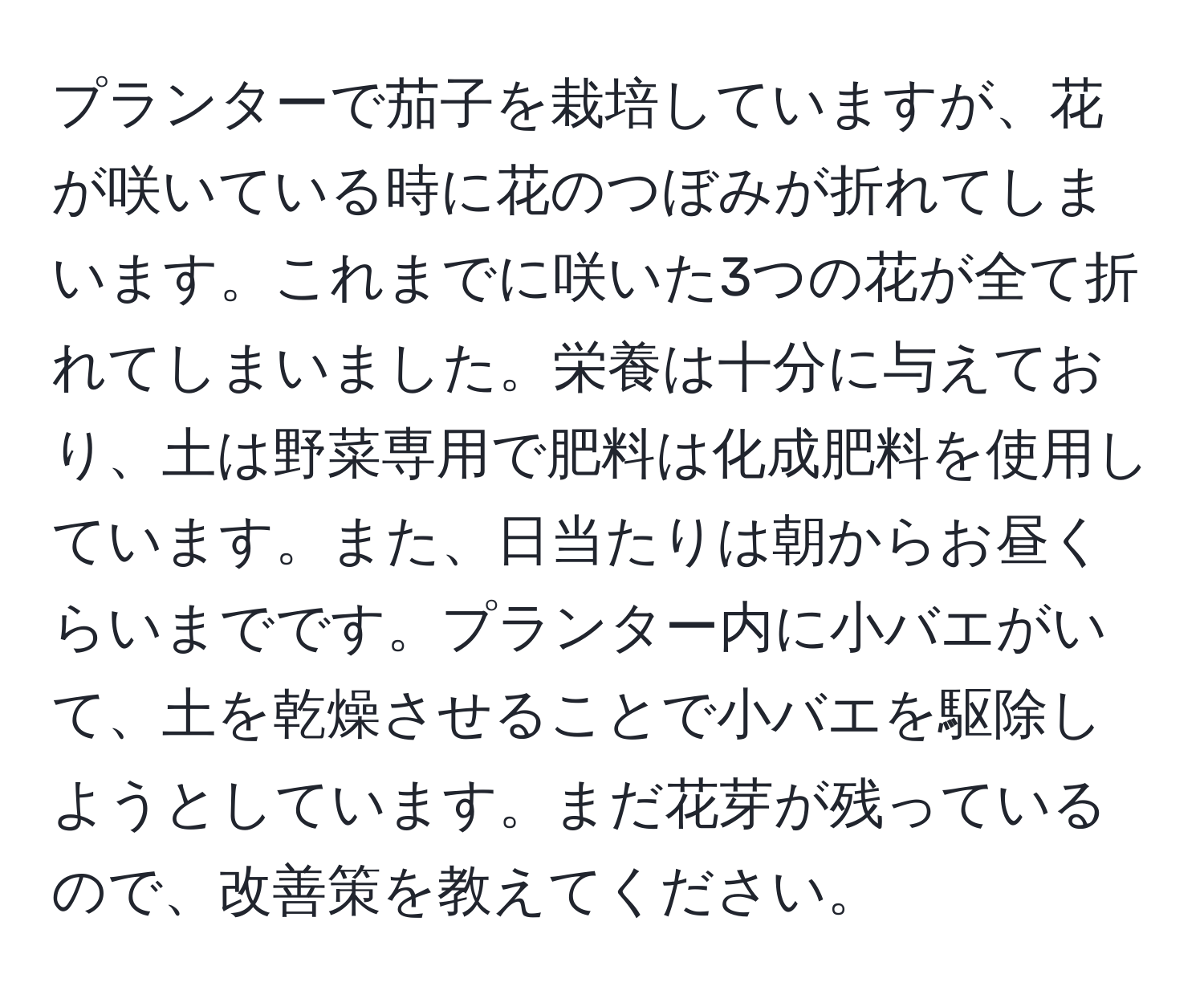 プランターで茄子を栽培していますが、花が咲いている時に花のつぼみが折れてしまいます。これまでに咲いた3つの花が全て折れてしまいました。栄養は十分に与えており、土は野菜専用で肥料は化成肥料を使用しています。また、日当たりは朝からお昼くらいまでです。プランター内に小バエがいて、土を乾燥させることで小バエを駆除しようとしています。まだ花芽が残っているので、改善策を教えてください。