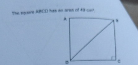 The square ABCD has an area of 49cm^2