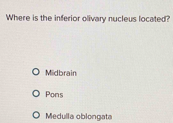 Where is the inferior olivary nucleus located?
Midbrain
Pons
Medulla oblongata