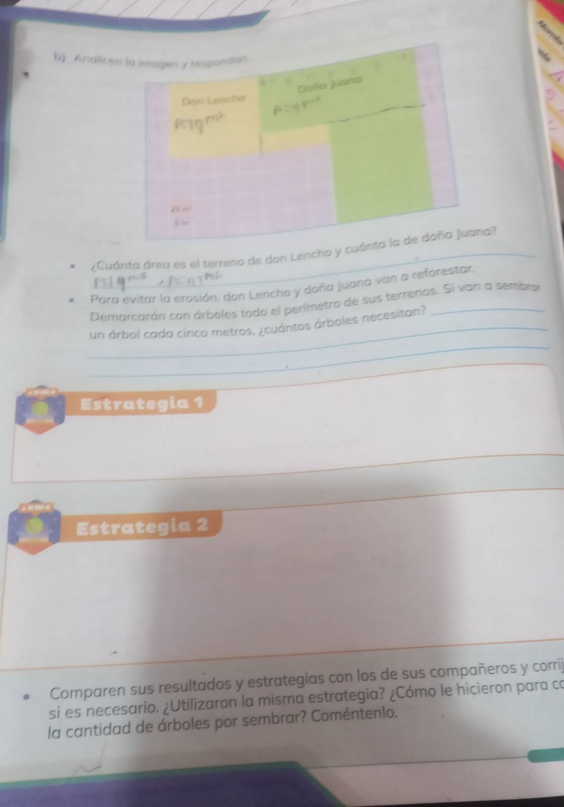 Analice 
¿Cuánta área es el terreno de don Lencho ? 
Para evitar la erosión, don Lencho y doña Juana van a reforestar. 
Demarcarán con árboles todo el perímetro de sus terrenos. Si van a sembrar 
_ 
_un árbol cada cinco metros, ¿cuántos árboles necesitan? 
Estrategia 1 
_ 
Estrategia 2 
Comparen sus resultados y estrategias con los de sus compañeros y corrij 
si es necesario. ¿Utilizaron la misma estrategia? ¿Cómo le hicieron para co 
la cantidad de árboles por sembrar? Coméntenlo.