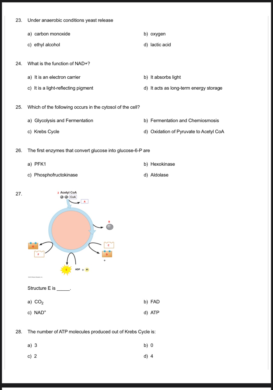 Under anaerobic conditions yeast release
a) carbon monoxide b) oxygen
c) ethyl alcohol d) lactic acid
24. What is the function of NAD+?
a) It is an electron carrier b) It absorbs light
c) It is a light-reflecting pigment d) It acts as long-term energy storage
25. Which of the following occurs in the cytosol of the cell?
a) Glycolysis and Fermentation b) Fermentation and Chemiosmosis
c) Krebs Cycle d) Oxidation of Pyruvate to Acetyl CoA
26. The first enzymes that convert glucose into glucose-6-P are
a) PFK1 b) Hexokinase
c) Phosphofructokinase d) Aldolase
27
Structure E is _.
a) CO_2 b) FAD
c) NAD^+ d) ATP
28. The number of ATP molecules produced out of Krebs Cycle is:
a) 3 b) 0
c) 2 d) 4