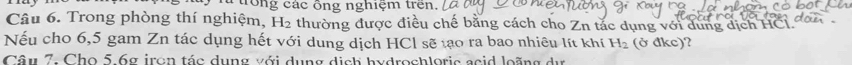 a trong các ống nghiệm trên. 
Câu 6. Trong phòng thí nghiệm, H_2 thường được điều chế bằng cách cho Zn tác dụng với dung dịch HCI. 
Nếu cho 6,5 gam Zn tác dụng hết với dung dịch HCl sẽ tạo ra bao nhiêu lít khí H_2 (ở đkc)? 
Câu 7. Cho 5.6g iron tác dụng với dụng dịch hydrochloric acid loãng dự