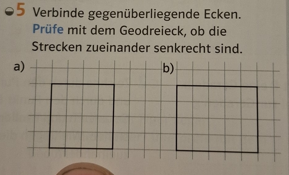 Verbinde gegenüberliegende Ecken. 
Prüfe mit dem Geodreieck, ob die 
Strecken zueinander senkrecht sind. 
a) 
b)