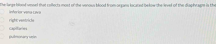 The large blood vessel that collects most of the venous blood from organs located below the level of the diaphragm is the
inferior vena cava
right ventricle
capillaries
pulmonary vein