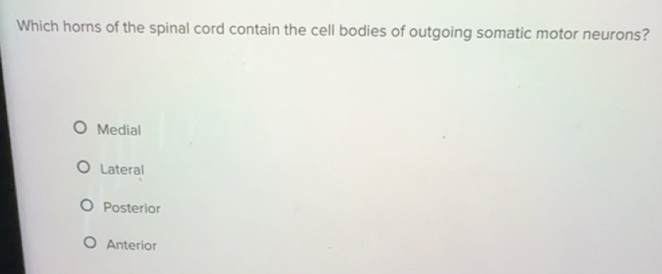 Solved: Which horns of the spinal cord contain the cell bodies of ...