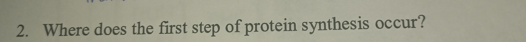 Where does the first step of protein synthesis occur?