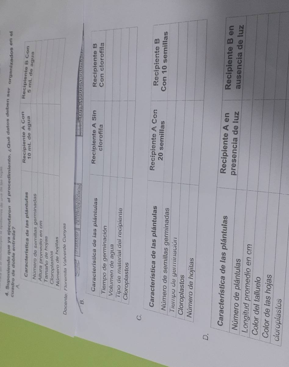 Suponiendo que ya ejecutaron el procedimiento. ¿Qué datos deben ser organizados en el 
cuadro de doble entrada? 
D 
e a e decsães Arrs Acoran ho me se 
B.