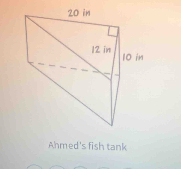 Ahmed's fish tank