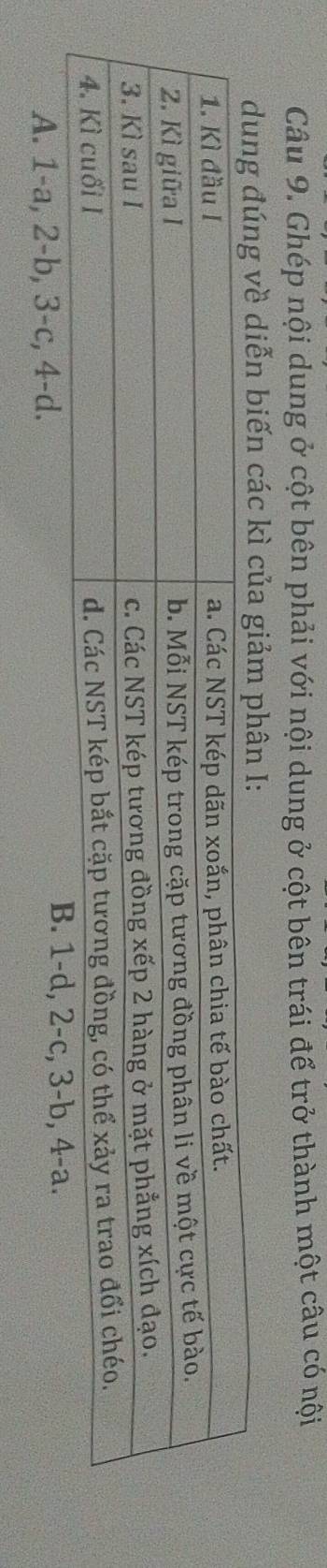 Ghép nội dung ở cột bên phải với nội dung ở cột bên trái để trở thành một câu có nội
g đúng về diễn biến các kì của giảm phân I:
A. 1 -a, 2 -b, 3 -c, 4 -d.