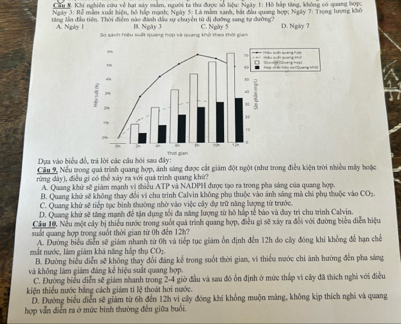 Cầu 8. Khi nghiên cứu về hạt này mằm, người ta thu được số liệu: Ngày 1: Hô hấp tăng, không có quang hợp:
Ngày 3: Rễ mầm xuất hiện, hô hấp mạnh; Ngày 5: Lá mầm xanh, bắt đầu quang hợp; Ngày 7: Trọng lượng khô
lăng lần đầu tiên. Thời điểm nào đánh dấu sự chuyển từ dị dưỡng sang tự dưỡng?
A. Ngày 1 B. Ngày 3 C. Ngày 5 D. Ngày 7
So sánh hiệu suất quang hợp và quang khử theo thời gian
Dựa vào biểu đồ, trả lời các câu hỏi sau đây:
Cầu 9. Nếu trong quá trình quang hợp, ánh sáng được cắt giảm đột ngột (như trong điều kiện trời nhiều mây hoặc
rừng dày), điều gì có thể xảy ra với quá trình quang khử?
A. Quang khử sẽ giảm mạnh vì thiểu ATP và NADPH được tạo ra trong pha sáng của quang hợp.
B. Quang khử sẽ không thay đổi vì chu trình Calvin không phụ thuộc vào ánh sáng mà chỉ phụ thuộc vào CO_2.
C. Quang khử sẽ tiếp tục bình thường nhờ vào việc cây dự trữ năng lượng từ trước.
D. Quang khử sẽ tăng mạnh đề tận dụng tối đa năng lượng từ hồ hấp tế bào và duy trì chu trình Calvin.
Câu 10. Nếu một cây bị thiếu nước trong suốt quá trình quang hợp, điều gì sẽ xảy ra đối với đường biểu diễn hiệu
suất quang hợp trong suốt thời gian từ 0h đến 12h?
A. Đường biểu diễn sẽ giảm nhanh từ 0h và tiếp tục giảm ồn định đến 12h do cây đóng khí khổng để hạn chế
mất nước, làm giảm khả năng hấp thụ CO_2.
B. Đường biểu diễn sẽ không thay đổi đáng kể trong suốt thời gian, vì thiếu nước chi ảnh hưởng đến pha sáng
và không làm giảm đáng kể hiệu suất quang hợp.
C. Đường biểu diễn sẽ giảm nhanh trong 2-4 giờ đầu và sau đó ồn định ở mức thấp vì cây đã thích nghi với điều
kiện thiếu nước bằng cách giảm tỉ lệ thoát hơi nước.
D. Đường biểu diễn sẽ giảm từ 6h đến 12h vì cây đóng khí khổng muộn màng, không kịp thích nghi và quang
hợp vẫn diễn ra ở mức bình thường đến giữa buổi.