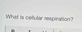 What is cellular respiration? 
r