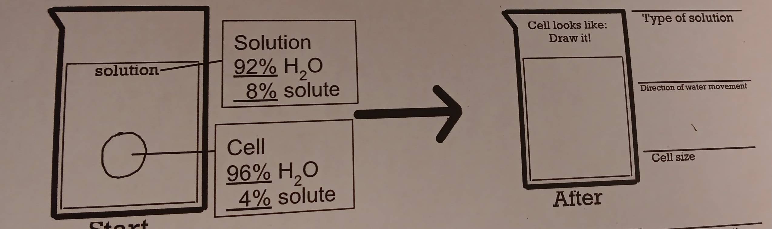 Cell looks like: Type of solution 
Solution Draw it! 
_ 
solution
_ 92% H_2O° C % solute Direction of water movement 
Cell 
__ 
Cell size
_ 96% l H_2O
4% solute After