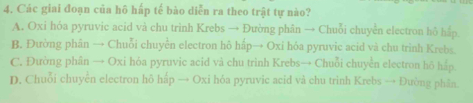 Các giai đoạn của hô hấp tế bào diễn ra theo trật tự nào?
A. Oxi hóa pyruvic acid và chu trình Krebs → Đường phân → Chuỗi chuyển electron hô hấp.
B. Đường phân → Chuỗi chuyển electron hô hấp→ Oxi hóa pyruvic acid và chu trình Krebs.
C. Đường phân → Oxi hỏa pyruvic acid và chu trình Krebs→ Chuỗi chuyển electron hô hấp.
D. Chuỗi chuyển electron hô hấp → Oxi hóa pyruvic acid và chu trình Krebs → Đường phân.