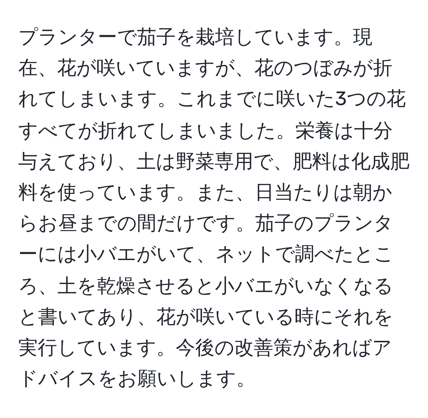 プランターで茄子を栽培しています。現在、花が咲いていますが、花のつぼみが折れてしまいます。これまでに咲いた3つの花すべてが折れてしまいました。栄養は十分与えており、土は野菜専用で、肥料は化成肥料を使っています。また、日当たりは朝からお昼までの間だけです。茄子のプランターには小バエがいて、ネットで調べたところ、土を乾燥させると小バエがいなくなると書いてあり、花が咲いている時にそれを実行しています。今後の改善策があればアドバイスをお願いします。