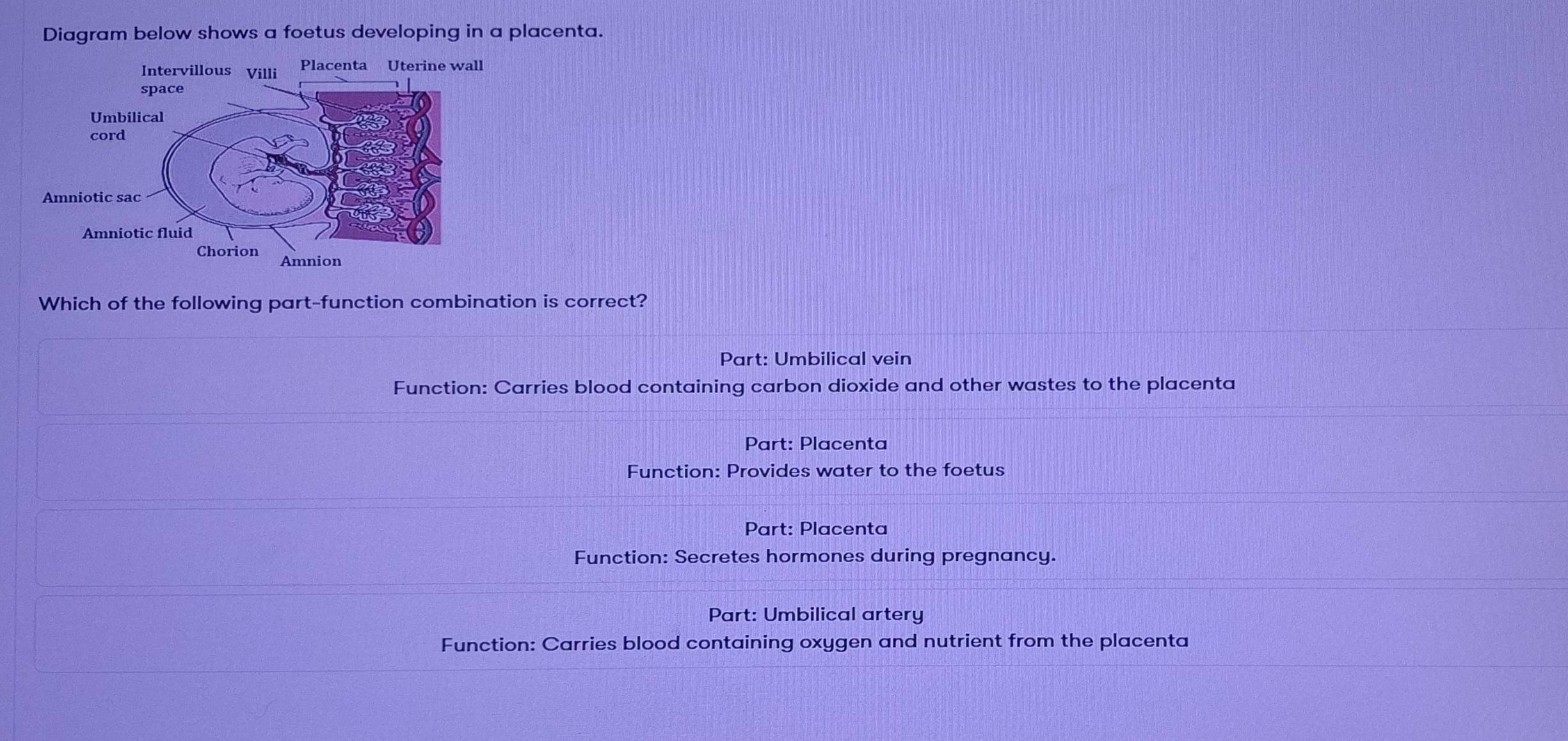 Diagram below shows a foetus developing in a placenta.
Which of the following part-function combination is correct?
Part: Umbilical vein
Function: Carries blood containing carbon dioxide and other wastes to the placenta
Part: Placenta
Function: Provides water to the foetus
Part: Placenta
Function: Secretes hormones during pregnancy.
Part: Umbilical artery
Function: Carries blood containing oxygen and nutrient from the placenta