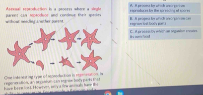 Asexual reproduction is a process where a single A. A process by which an organism
parent can reproduce and continue their species reproduces by the spreading of spores 
without needing another parent. regrow lost body parts B. A process by which an organism can
its own food C. A process by which an organism creates
One interesting type of reproduction is regenerati
regeneration, an organism can regrow body parts that
have been lost. However, only a few animals have the