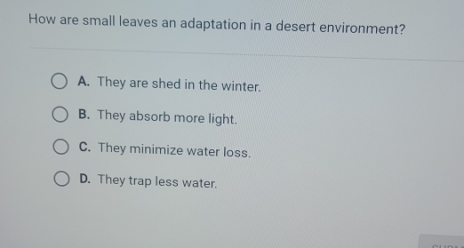 How are small leaves an adaptation in a desert environment?
A. They are shed in the winter.
B. They absorb more light.
C. They minimize water loss.
D. They trap less water.