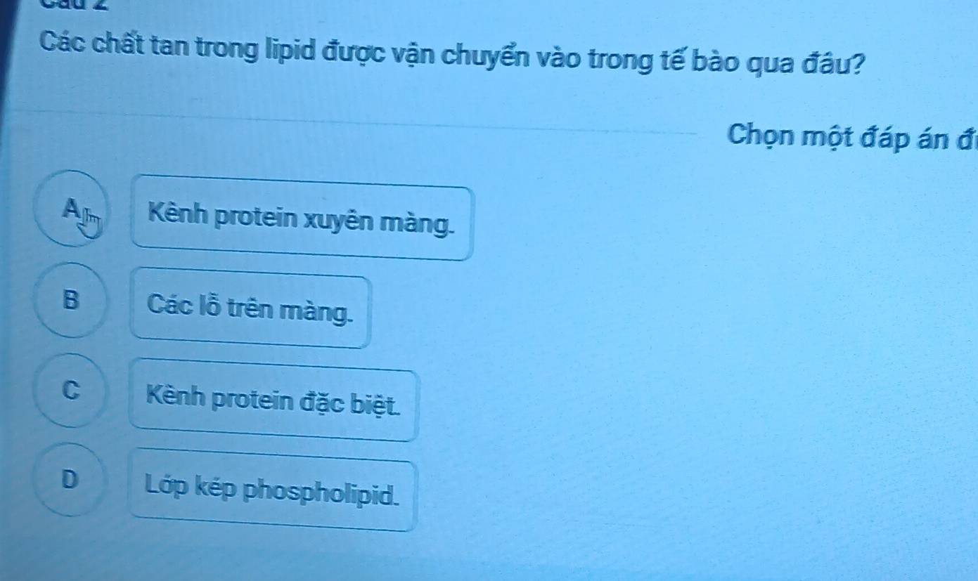 Các chất tan trong lipid được vận chuyển vào trong tế bào qua đâu?
Chọn một đáp án đi
Ajm Kênh protein xuyên màng.
B Các lỗ trên màng.
C Kênh protein đặc biệt.
D Lớp kép phospholipid.