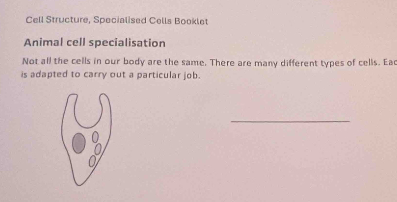 Cell Structure, Specialised Cells Booklet 
Animal cell specialisation 
Not all the cells in our body are the same. There are many different types of cells. Ead 
is adapted to carry out a particular job. 
_