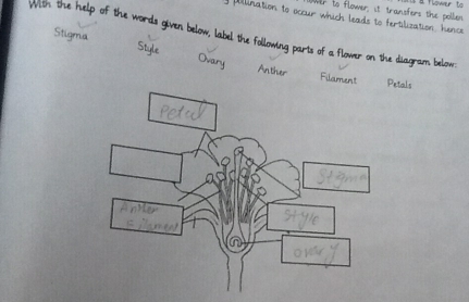 wer t 
I to flower, it transfers the poller 
Wlnation to occur which leads to fertilict 
the help of the words given below. 
T 
g parts of a flower on the diag 
Peta