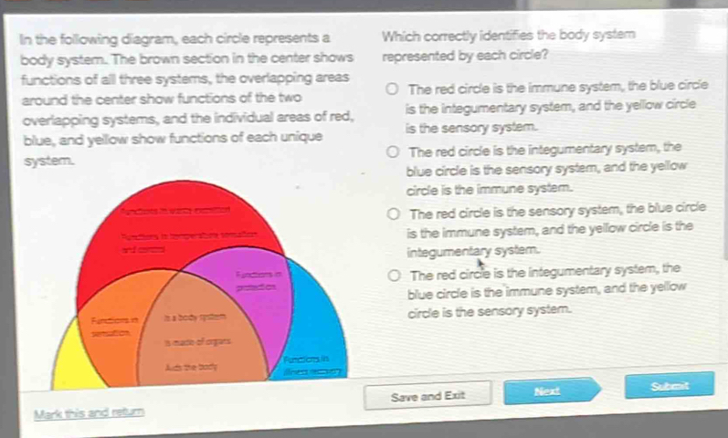 In the following diagram, each circle represents a Which correctly identifies the body system
body system. The brown section in the center shows represented by each circle?
functions of all three systems, the overlapping areas The red circle is the immune system, the blue circle
around the center show functions of the two
overlapping systems, and the individual areas of red, is the integumentary system, and the yellow circle
blue, and yellow show functions of each unique is the sensory system.
system. The red circle is the integumentary system, the
blue circle is the sensory system, and the yellow
circle is the immune system.
The red circle is the sensory system, the blue circle
is the immune system, and the yellow circle is the
integumentary system.
The red circle is the integumentary system, the
blue circle is the immune system, and the yellow
circle is the sensory system.
Mark this and return Save and Exit Next Submit