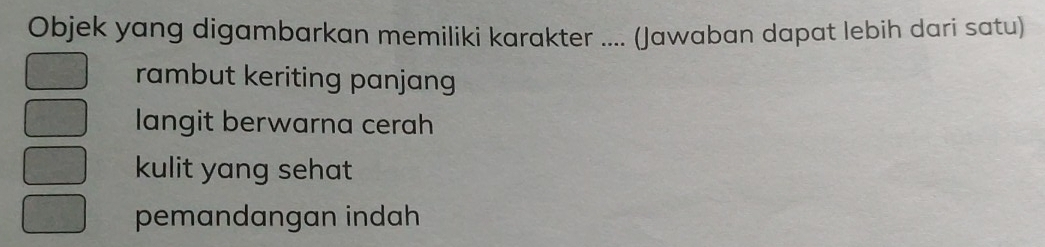 Objek yang digambarkan memiliki karakter .... (Jawaban dapat lebih dari satu)
rambut keriting panjang
langit berwarna cerah
kulit yang sehat
pemandangan indah