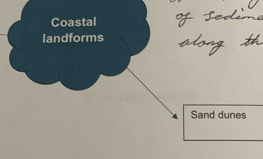 Coastal 
landforms 
Sand dunes