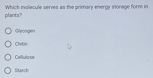 Which molecule serves as the primary energy storage form in
plants?
Glycogen
Chitin
Cellulose
Starch
