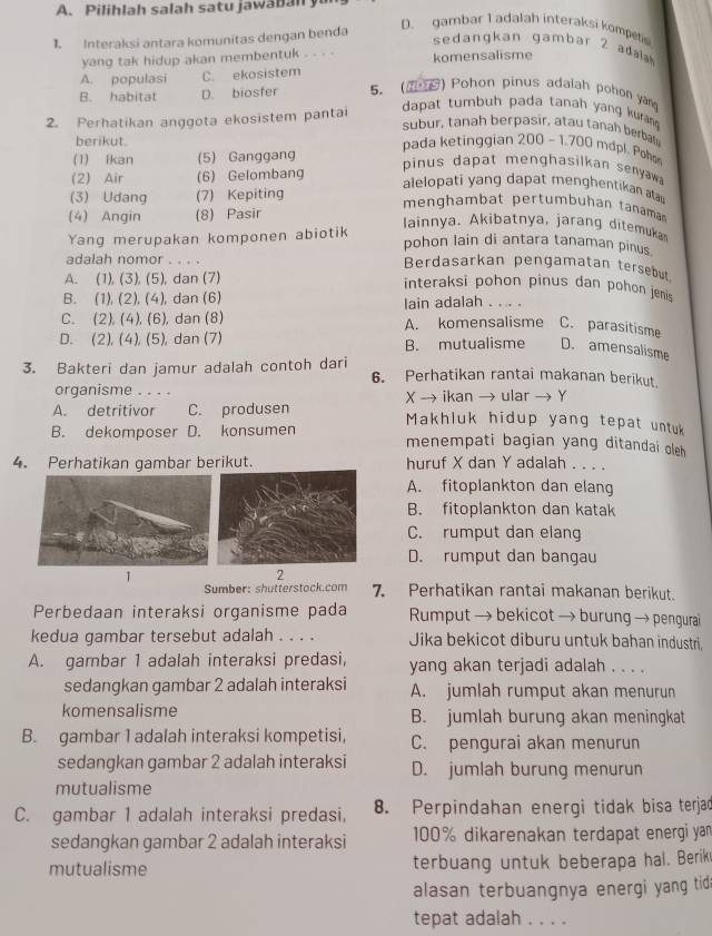 Pilihlah salah satu jaw a b  n  y
1. Interaksi antara komunitas dengan benda
D. gambar 1 adalah interaksi kompetis
sedangkan gambar 2 adal 
yang tak hidup akan membentuk . . . .
A. populasi C. ekosistem komensalisme
B. habitat D. biosfer 5. ( ) Pohon pinus adalah pohon ya
2. Perhatikan anggota ekosistem pantai
dapat tumbuh pada tanah yang kuran 
subur, tanah berpasir, atau tanah berbatu
berikut.
pada ketinggian 200 - 1.700 mdpl. Poho
(1) Ikan (5) Ganggang
(2) Air (6) Gelombang
pinus dapat menghasilkan senyaw 
alelopati yang dapat menghentikan ata
(3) Udang (7) Kepiting
(4) Angin (8) Pasir
menghambat pertumbuhan tanəman
lainnya. Akibatnya, jarang ditemuka
Yang merupakan komponen abiotik
pohon lain di antara tanaman pinus.
adalah nomor . . . . Berdasarkan pengamatan tersebut
A. (1), (3), (5), dan (7) interaksi pohon pinus dan pohon jenis
B. (1), (2), (4), dan (6) lain adalah . . . .
C. (2), (4), (6), dan (8)
D. (2), (4), (5), dan (7) A. komensalisme C. parasitisme
B. mutualisme D. amensalisme
3. Bakteri dan jamur adalah contoh dari 6. Perhatikan rantai makanan berikut.
organisme . . . . X → ikan → ular → Y
A. detritivor C. produsen Makhluk hidup yang tepat untuk
B. dekomposer D. konsumen menempati bagian yang ditandai oleh
4. Perhatikan gambar berikut. huruf X dan Y adalah . . . .
A. fitoplankton dan elang
B. fitoplankton dan katak
C. rumput dan elang
D. rumput dan bangau
1
2
Sumber: shutterstock.com 7. Perhatikan rantai makanan berikut.
Perbedaan interaksi organisme pada Rumput → bekicot → burung → pengurai
kedua gambar tersebut adalah . . . . Jika bekicot diburu untuk bahan industri,
A. gambar 1 adalah interaksi predasi, yang akan terjadi adalah . . . .
sedangkan gambar 2 adalah interaksi A. jumlah rumput akan menurun
komensalisme B. jumlah burung akan meningkat
B. gambar 1 adalah interaksi kompetisi, C. pengurai akan menurun
sedangkan gambar 2 adalah interaksi D. jumlah burung menurun
mutualisme
C. gambar 1 adalah interaksi predasi, 8. Perpindahan energi tidak bisa terjad
sedangkan gambar 2 adalah interaksi 100% dikarenakan terdapat energi yar
mutualisme terbuang untuk beberapa hal. Berik
alasan terbuangnya energi yang tid
tepat adalah . . . .