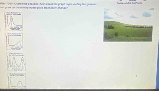 After 10 or 12 growing seasons, how would the graph representing the grasses 
that grow on the mining waste piles most likely change? 
Gan Peatançe to