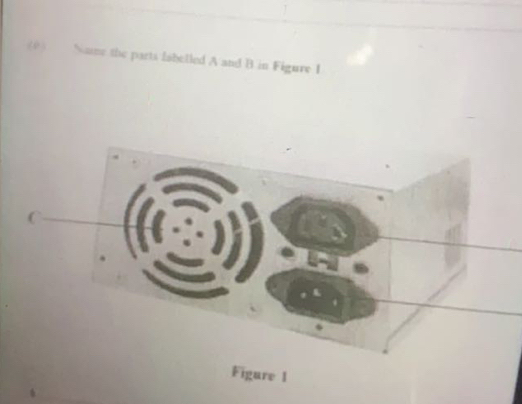 Name the parts labelled A and B in Figure I