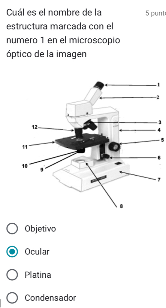 Cuál es el nombre de la 5 punt
estructura marcada con el
numero 1 en el microscopio
óptico de la imagen
1
2
3
4
5
6
7
Objetivo
Ocular
Platina
Condensador