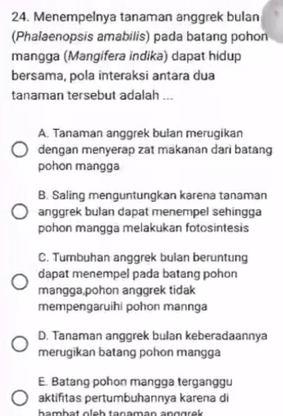 Menempelnya tanaman anggrek bulan
(Phalaenopsis amabilis) pada batang pohon
mangga (Mangifera indika) dapat hidup
bersama, pola interaksi antara dua
tanaman tersebut adalah ...
A. Tanaman anggrek bulan merugikan
dengan menyerap zat makanan dari batang
pohon mangga
B. Saling menguntungkan karena tanaman
anggrek bulan dapat menempel sehingga
pohon mangga melakukan fotosintesis
C. Tumbuhan anggrek buian beruntung
dapat menempel pada batang pohon
mangga pohon anggrek tidak
mempengaruihi pohon mannga
D. Tanaman anggrek bulan keberadaannya
merugikan batang pohon mangga
E. Batang pohon mangga terganggu
aktifitas pertumbuhannya karena di
bambət öleh taçəman anggrek .