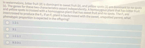 In watermelons, bitter fruit (B) is dominant to sweet fruit (b), and yellow spots (S) are dominant to no spots
(s). The genes for these two characteristics assort independently. A homozygous plant that has bitter fruit
and yellow spots is crossed with a homozygous plant that has sweet fruit and no spots. The F_1
intercrossed to produce the F_2 If an F_1 plant is backcrossed with the sweet, unspotted parent, what are
phenotypic proportion is expected in the offspring?
1:2:1
3:1
1:1:1:1
9:3:3:1