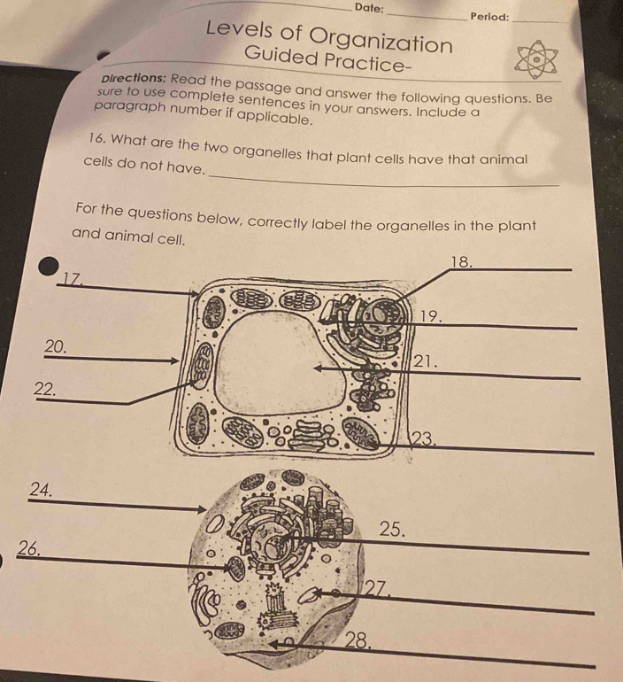 Date:_ Period:_
Levels of Organization
Guided Practice-
pirections: Read the passage and answer the following questions. Be
sure to use complete sentences in your answers. Include a
paragraph number if applicable.
16. What are the two organelles that plant cells have that animal
_
cells do not have.
For the questions below, correctly label the organelles in the plant
and animal cell.
25.
26.
27.
28.