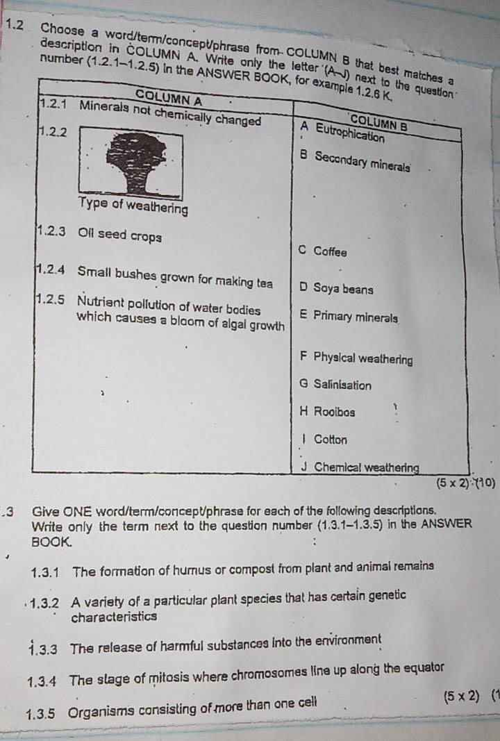 1.2 Choose a word/term/concept/phrase from COLUMN B that best matches a descript
MN A. Write only the letter (AJ) next to the question
number (1.2.1-1.2.5) In the ANSWER BOOK, for example 1.2.6 K.
COLUMN A
1.2.1 Minerals not chemically changed
COLUMN B
1.2.2
A Eutrophication
Secondary minerals
e of weathering
1.2.3 Oil seed crops C Coffee
1.2. 4 Small bushes grown for making tea D Soya beans
1.2.5 Nutriant pollution of water bodies E Primary minerals
which causes a bloom of algal growth
F Physical weathering
G Salinisation
H Rooibos
l Cotton
J Chemical weathering
(5* 2):(10)
3 Give ONE word/term/concept/phrase for each of the following descriptions.
Write only the term next to the question number (1.3.1-1.3.5) ) in the ANSWER
BOOK.
1.3.1 The formation of hurus or compost from plant and animal remains
1.3.2 A variety of a particular plant species that has certain genetic
characteristics
1.3.3 The release of harmful substances into the environment
1.3.4 The slage of mitosis where chromosomes line up along the equator
1.3.5 Organisms consisting of more than one cell (5* 2) (1