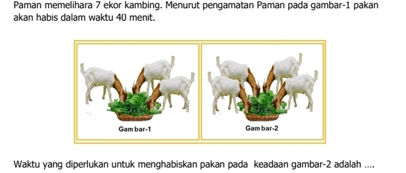 Paman memelihara 7 ekor kambing. Menurut pengamatan Paman pada gambar- 1 pakan 
akan habis dalam waktu 40 menit. 
Waktu yang diperlukan untuk menghabiskan pakan pada keadaan gambar -2 adalah ....