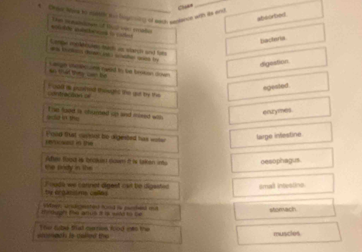 Class
_
4 Creer Were to spatel te lgewg of eachs cantance with its and
absorbed
The senloon of thpe was emades
bacteria
Gane moktqules tuch as starch and fats
eas br glge cm nt scater gres try 
digestion.
Laspe theakoules aeed to be broken down 
so mhát they can be
egested.
F ood is purred thought the get be tho
Contracion of
enzymes.
The food is chumed up and mired with
edid in the
Foad that cernal be olgested has water
large intestine
revoowes in the 
After food is brojuen down it is taken into
oesophagus.
the sndy in the 
I ouda we canner digest cad be digested
small intestine
ty organisma cales 
Wper: Unigeisted tood is paoded mt
stomach
The tybe Stat cerres food isto the
smaok is dalled the 
muscies