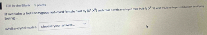Fill in the Blank 5 points
If we take a heterozygous red-eyed female fruit fly(x^rx^R) and cross it with a red-eyed male fruit ny(x^2Y) I, what would be the percent chance of the offspring
being...
white-eyed males choose your answer...
