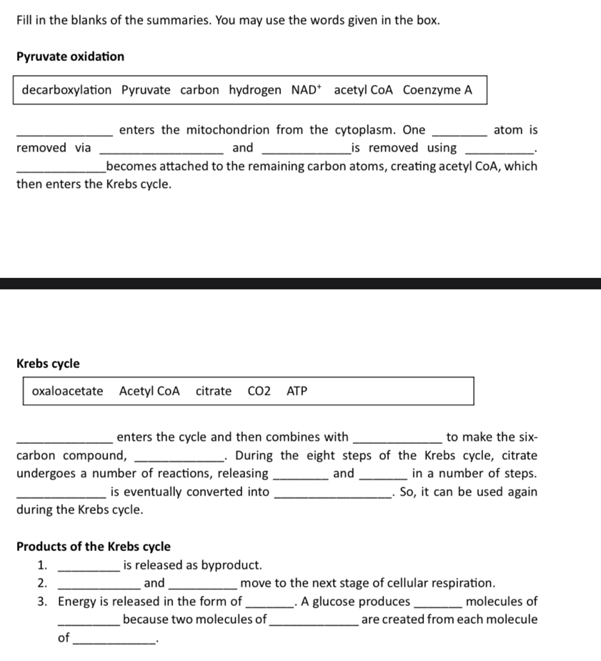 Fill in the blanks of the summaries. You may use the words given in the box. 
Pyruvate oxidation 
decarboxylation Pyruvate carbon hydrogen NAD* acetyl CoA Coenzyme A 
_enters the mitochondrion from the cytoplasm. One _atom is 
removed via _and _is removed using _ 
· 
_becomes attached to the remaining carbon atoms, creating acetyl CoA, which 
then enters the Krebs cycle. 
Krebs cycle 
oxaloacetate Acetyl CoA citrate CO2 ATP 
_enters the cycle and then combines with _to make the six- 
carbon compound, _. During the eight steps of the Krebs cycle, citrate 
undergoes a number of reactions, releasing _and _in a number of steps. 
_is eventually converted into _. So, it can be used again 
during the Krebs cycle. 
Products of the Krebs cycle 
1. _is released as byproduct. 
2. _and_ move to the next stage of cellular respiration. 
3. Energy is released in the form of _. A glucose produces_ molecules of 
_ 
_because two molecules of are created from each molecule 
of_ 
.